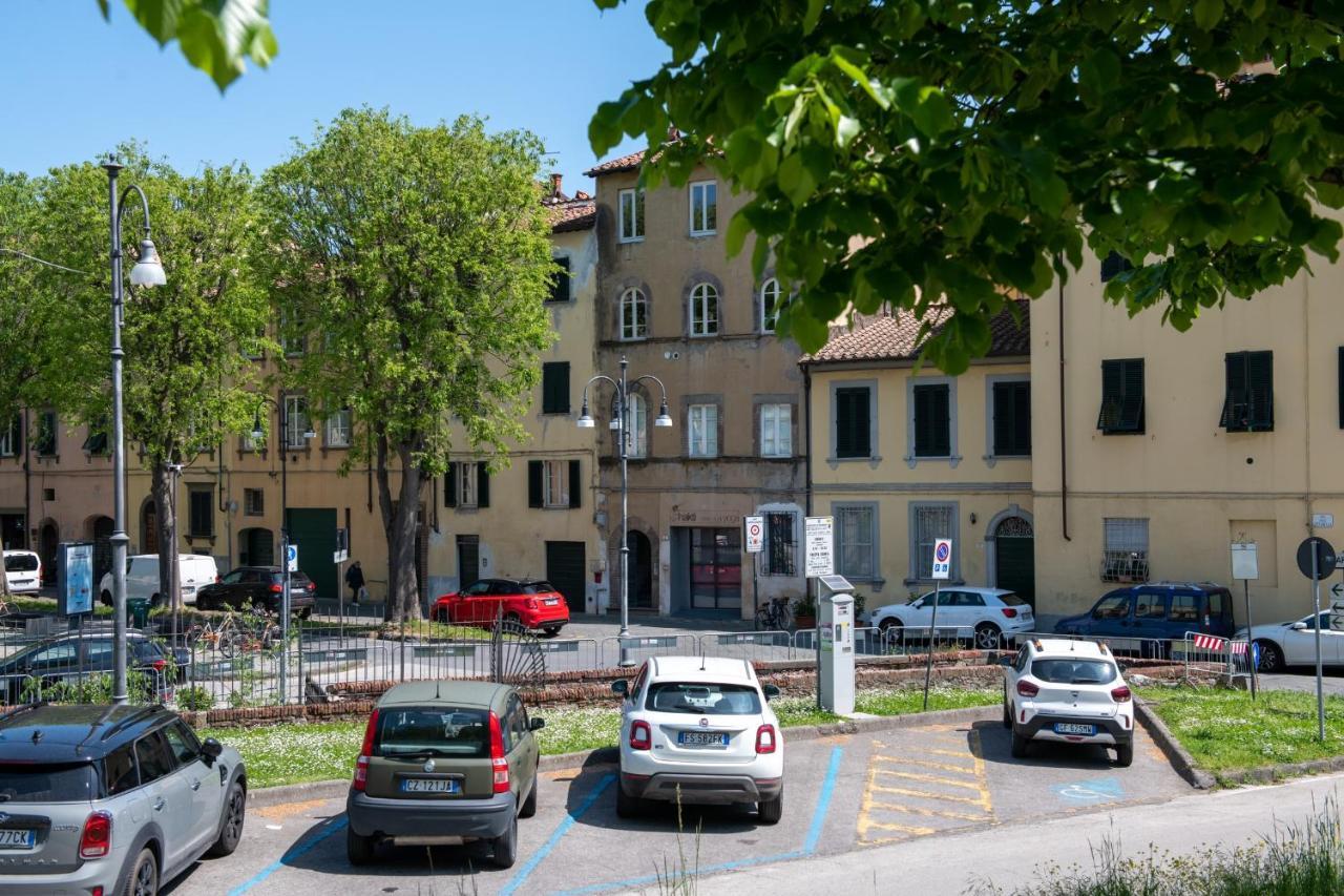 Effetto Cittadella *